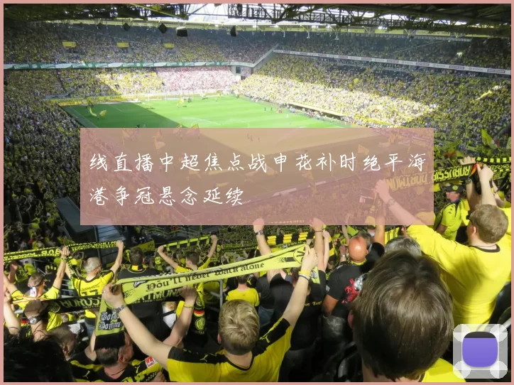 线直播中超焦点战申花补时绝平海港争冠悬念延续