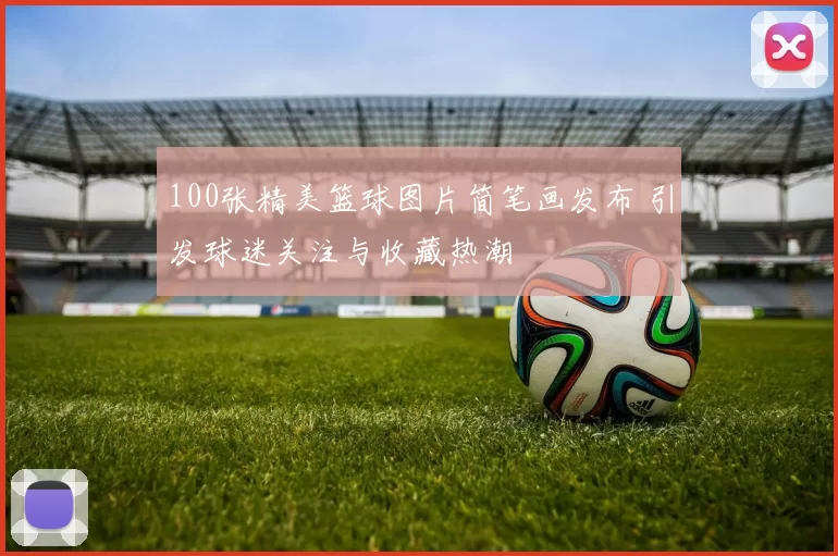 100张精美篮球图片简笔画发布 引发球迷关注与收藏热潮