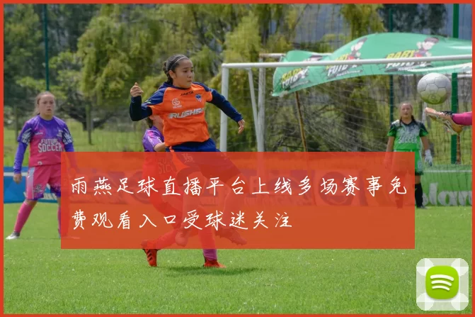 雨燕足球直播平台上线多场赛事免费观看入口受球迷关注