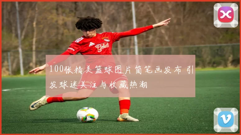 100张精美篮球图片简笔画发布 引发球迷关注与收藏热潮