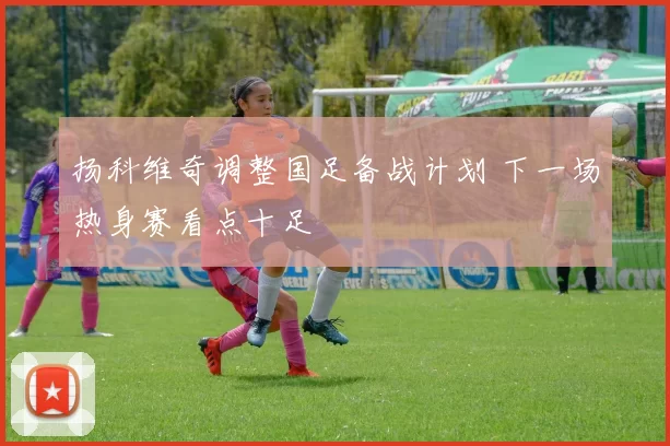 扬科维奇调整国足备战计划 下一场热身赛看点十足