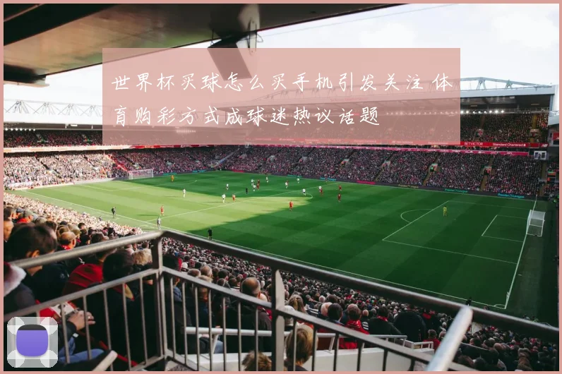 世界杯买球怎么买手机引发关注 体育购彩方式成球迷热议话题